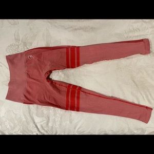 Bombshell seamless elite thigh high leggings